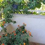 Apartament Botanica