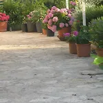 Apartament Botanica