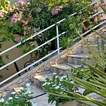 Botanica