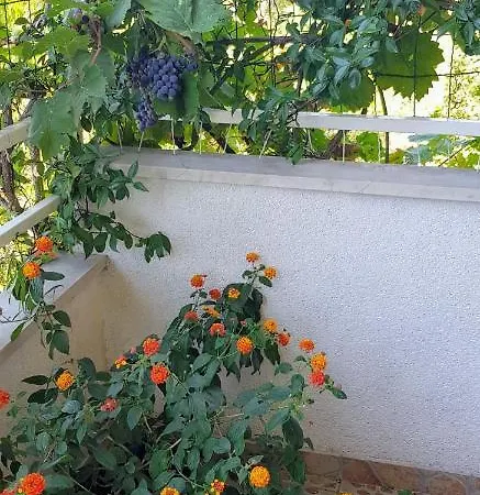 Apartment Botanica