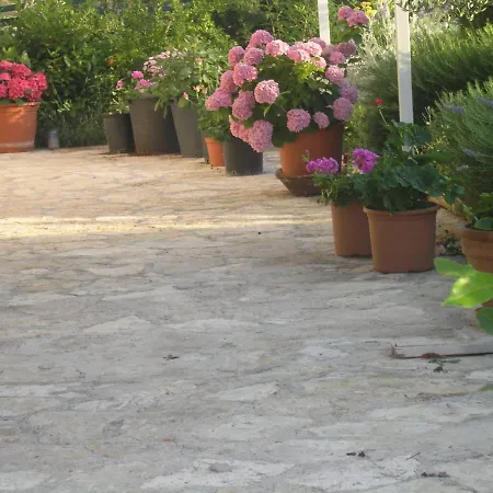 Apartment Botanica