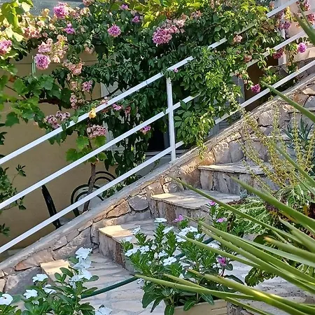Botanica