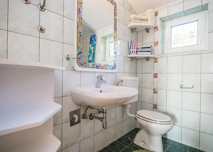 Botanica Рогозница