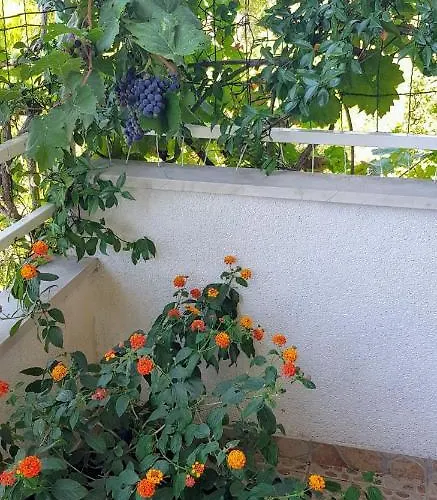 Апартаменты Botanica