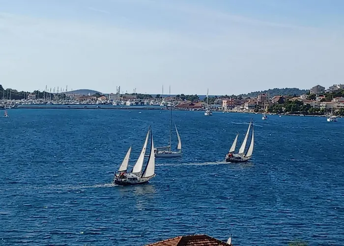 Botanica * רוגוזניצה