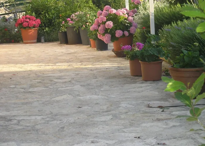 Апартаменты Botanica