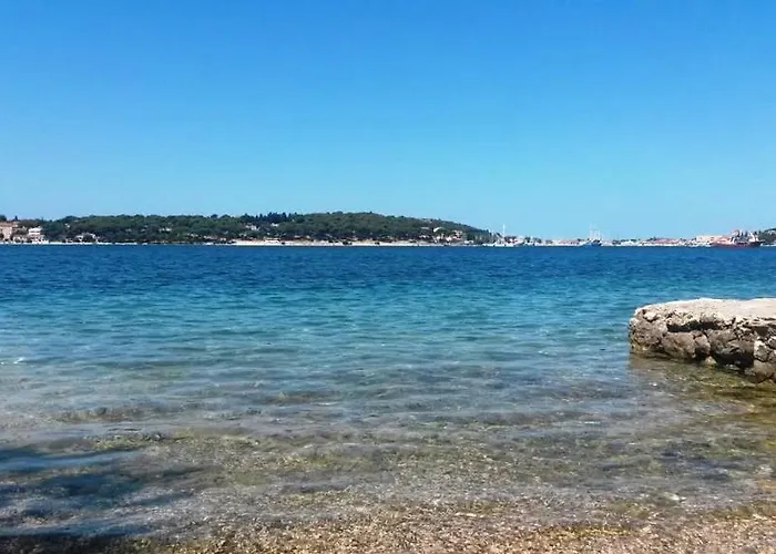 Apartment Botanica *